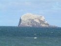 Gannetry - Bass Rock