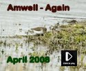 Amwell Again - April