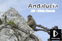 Spain Wildlife Video