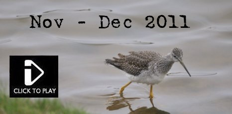  Nov - Dec 2011 - Video - Snow Bunting, Sparrowhawk, Ring Necked Parakeet, Eastern Black Redstart, Greater Yellowlegs, Grey Phalarope, Lesser Scaup, Goosander, Green WInged Teal, Harvest Mouse, Wigeon, Great Grey Shrike, Common Crane 