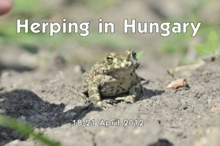 Hungary - 18th - 21st April