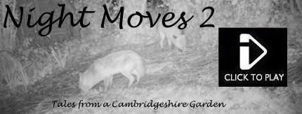 Night Moves 2- Tales from a Cambridgeshire Garden, starring Bank Vole, Badger, Muntjac, Fox, Wood Mouse
