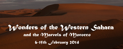 Western Sahara Trip Report