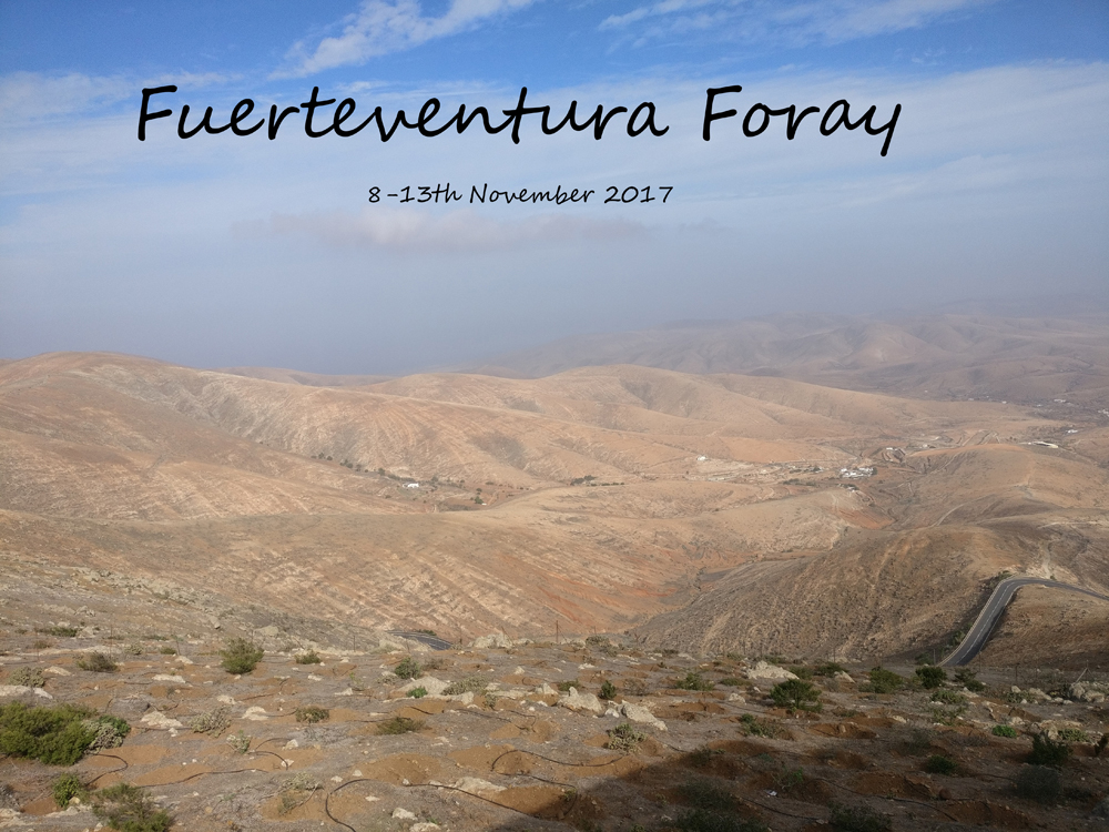 Fuerteventura - November 2017