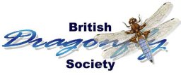Dragonfly Society