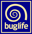Buglife