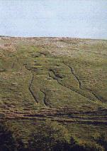 Cerne Abbas Giant from a Distance