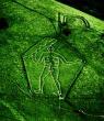 Cerne Abbas Giant from the Air