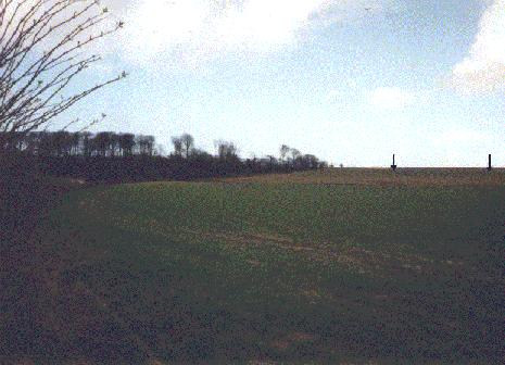 View of the Site