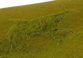 Tan Hill Donkey Outline