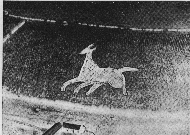 Aerial Photo of the First Tysoe Horse