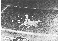 Aerial Photo of the Tysoe Horses I,II,III