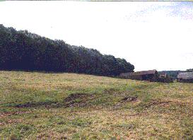 The site of the tysoe horses in 1998