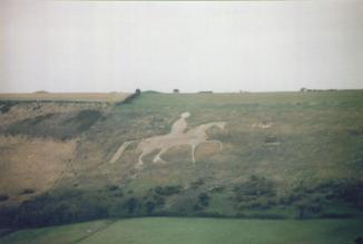 Horse from a Distance 2004