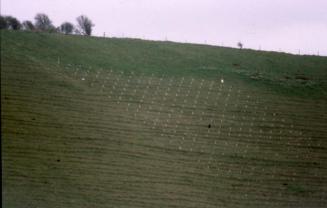 Charlton Wyvern Grid on the Hill