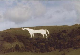 The Horse from a Distance