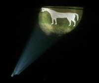 The Horse illuminated