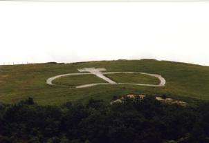 View showing the Chalk downland, into the Quarry beneath the Crown