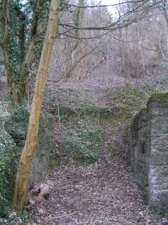 The Lower Incline