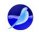 SeaMonkey 1