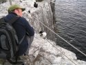 Razorbill Encounter