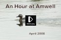 Abberton - April