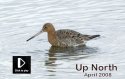 North West - April
