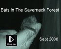 Savernack Bats