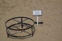 Turtle Nest