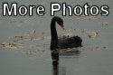 Flickr Gallery