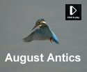 August Antics