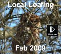 Local Loafing