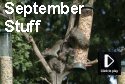 September Stuff