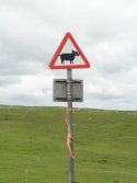 Beware of the Wildlife!
