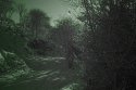 Snow Scene