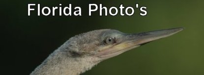 Florida Photo's Flickr Gallery
