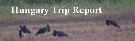 Hungary Trip Report