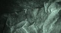 Daubenton's Bat
