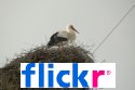 Spain Photo's Flickr Gallery