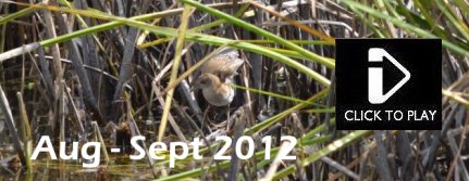 Aug - Sept 2012