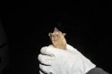 Greater Horseshoe Bat