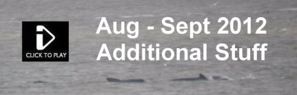 Aug - Sept 2012 Additional