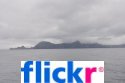 Flickr Gallery