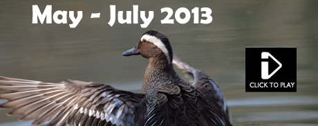 May-July Video - Savi's Warbler, Garganey, Rabbit, Hazel Dormouse