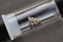 Silver Barred