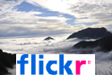 Flickr Gallery