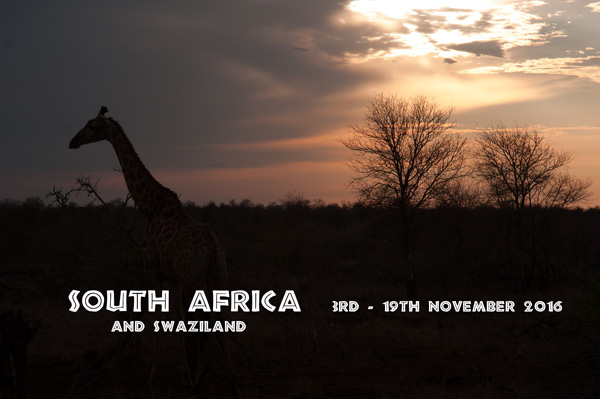 South Africa - Nov 2016