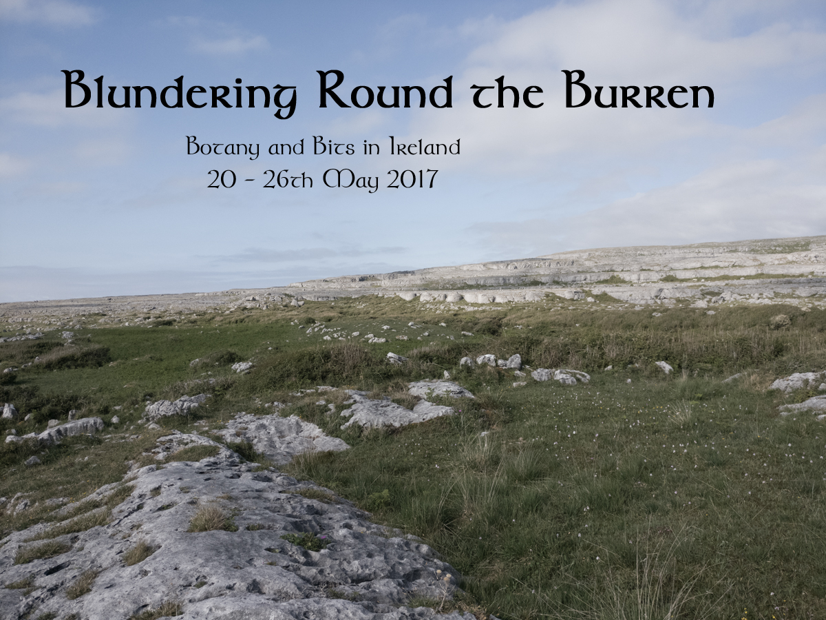 Ireland - May 2017