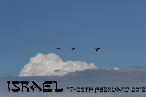 Israel - February 2018