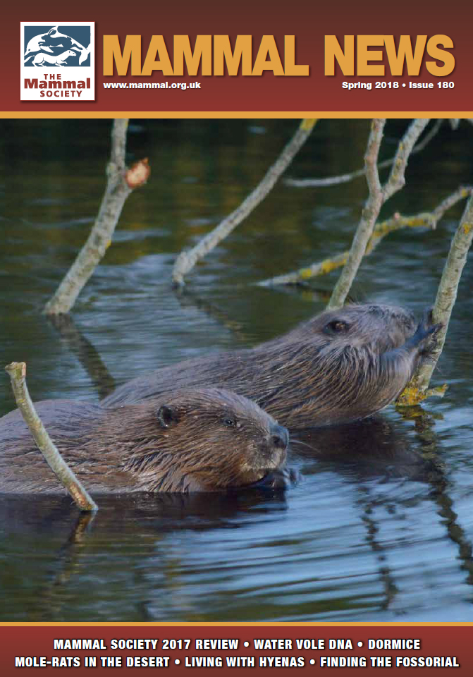 Mammal News Spring 2018 - Finding the Fossorial